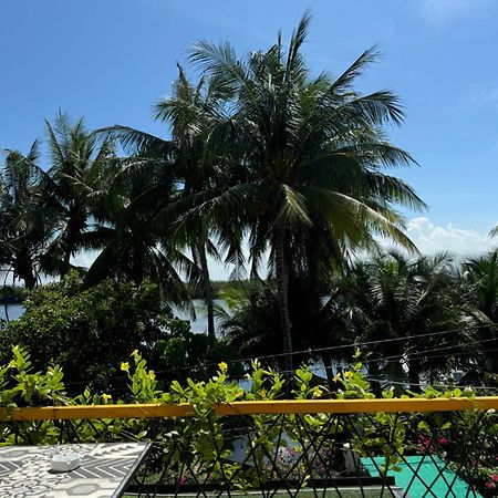 Coral Riverside Homestay & Hostel Hoi An Dış mekan fotoğraf