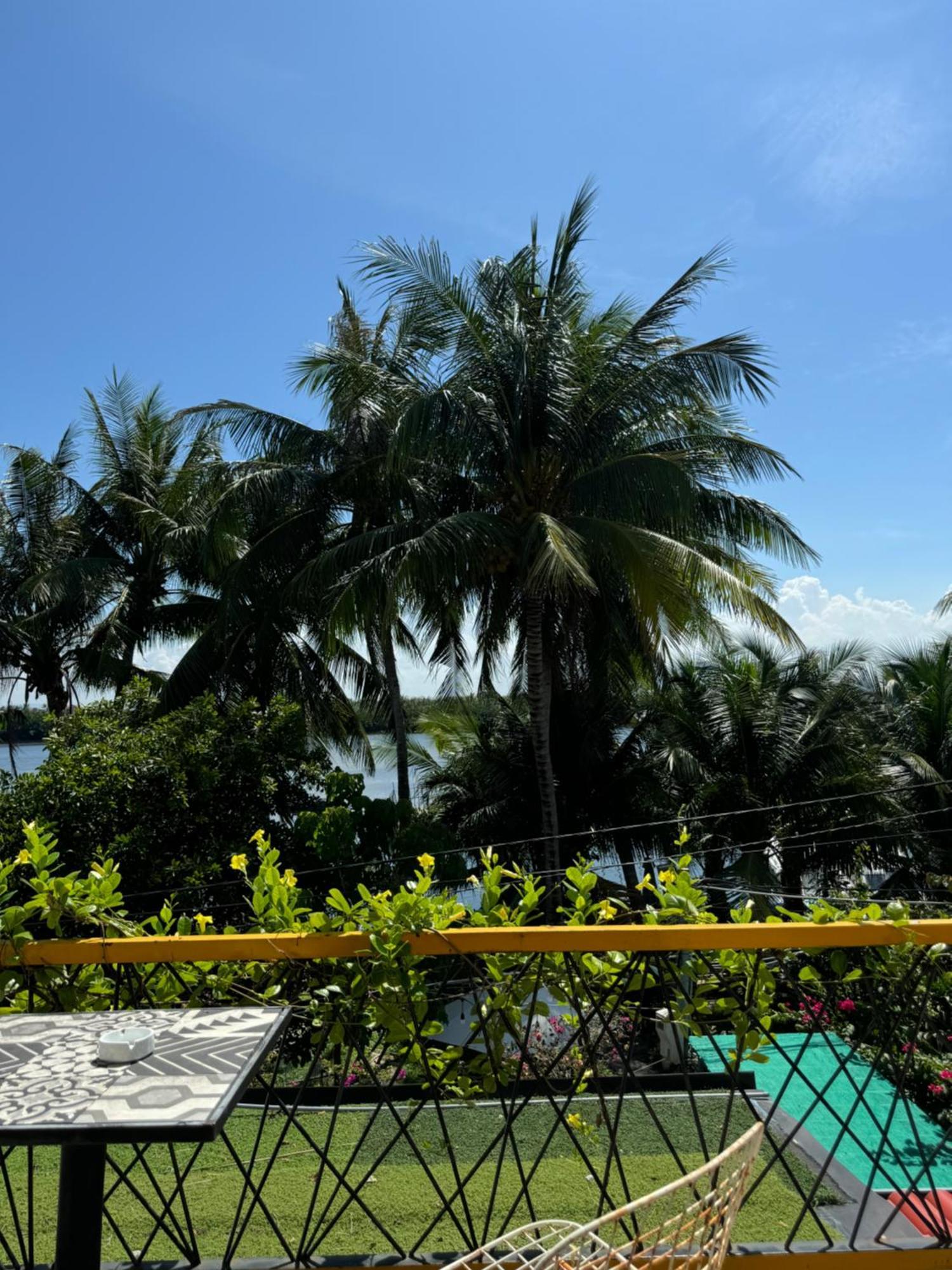 Coral Riverside Homestay & Hostel Hoi An Dış mekan fotoğraf